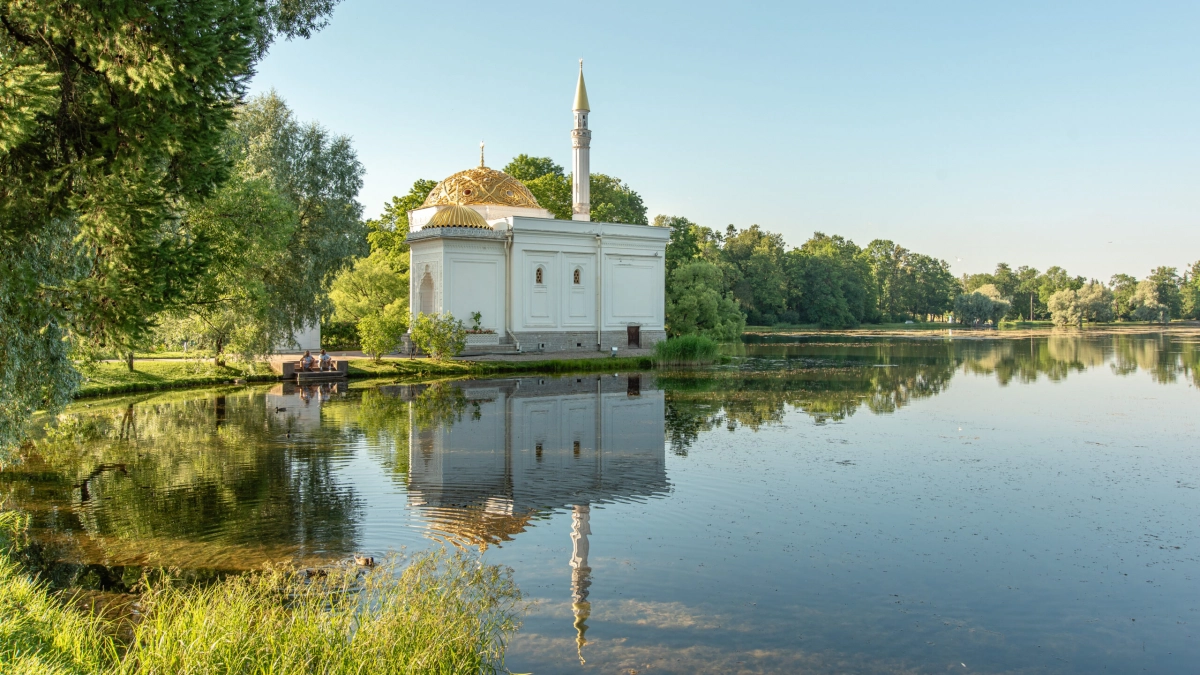 Очисткой Большого пруда Екатерининского парка займётся белый амур: тонну рыбы выпустили в водоём - tvspb.ru