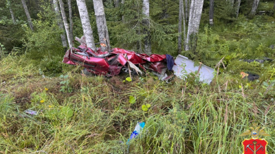 В Лодейнопольском районе Ленобласти случилась авария – водитель «Ниссана» скончалась