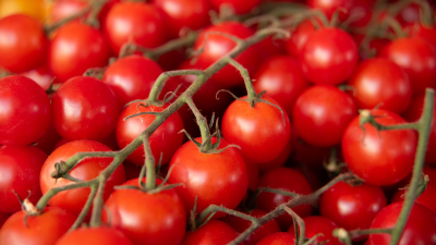 Цены на томаты в Санкт-Петербурге снизились на 8,5%