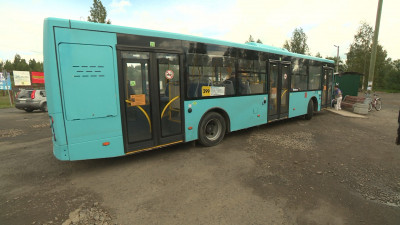Петербуржцам рассказали, кто может бесплатно ездить в пригородных автобусах