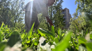 Звёздные питомцы. Персиковое чудо мальтипу Митя заслуженного артиста России Сергея Рогожина