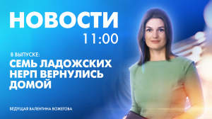 Новости Петербурга к 11:00