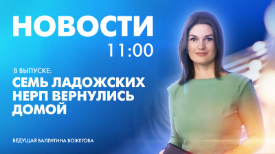 Новости Петербурга к 11:00