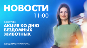 Новости Петербурга к 11:00