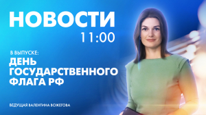 Новости Петербурга к 11:00