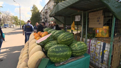 В Петербурге прошли рейды по борьбе с нелегальной торговлей арбузами