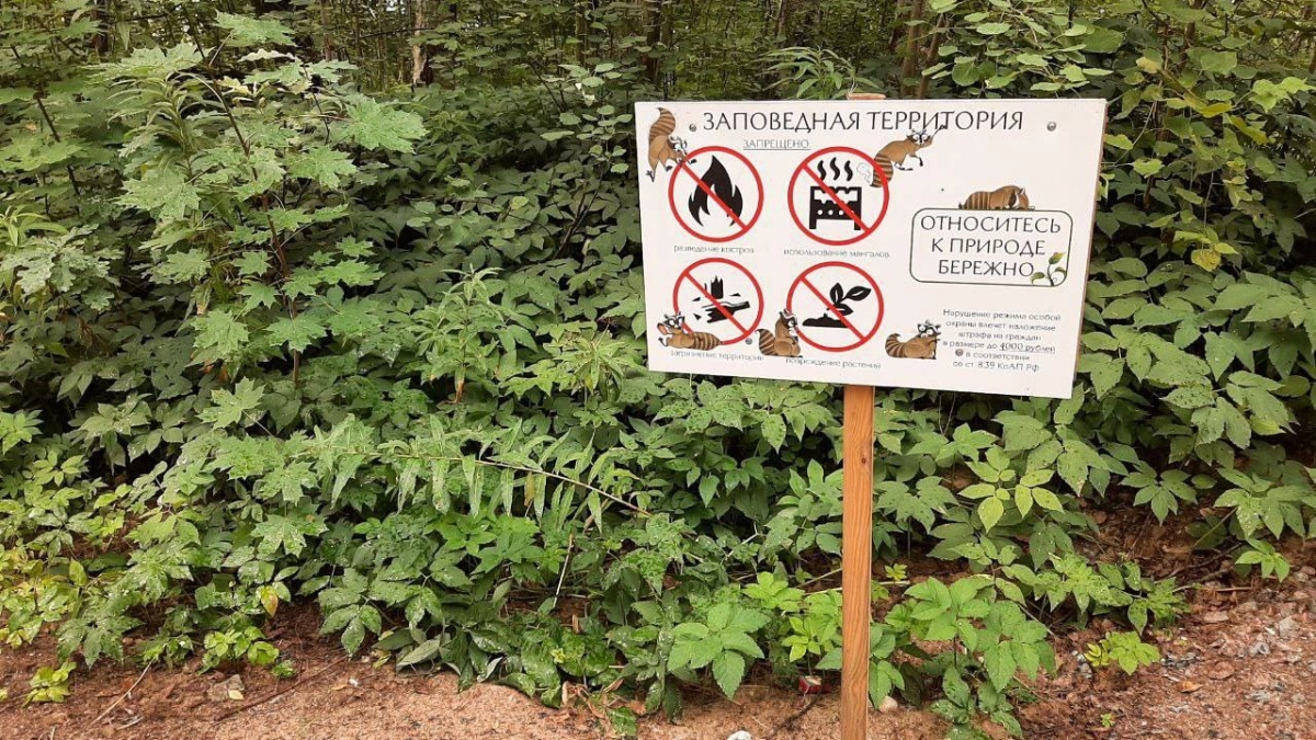 Как будут развивать заповедную территорию Новоорловского заказника - tvspb.ru