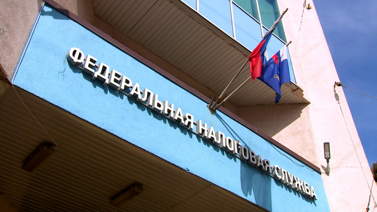 Число самозанятых в России достигло 15 миллионов человек - tvspb.ru
