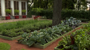 Воссозданные грядки Петра I в Летнем саду
