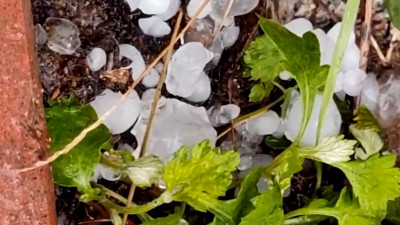 На севере Петербурга прошел град