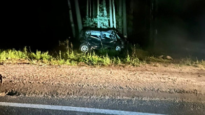 В Кингисеппском районе иномарка съехала в кювет и врезалась в дерево