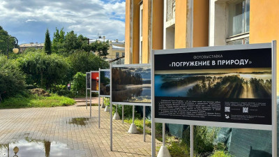 В Ботаническом саду представили фотовыставку «Погружение в природу»