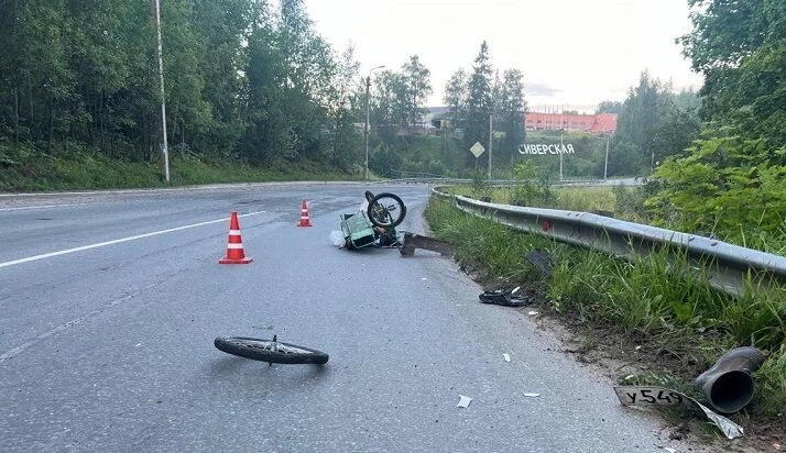 В Ленобласти женщина насмерть сбила пожилого велосипедиста: ранее она уже привлекалась - tvspb.ru