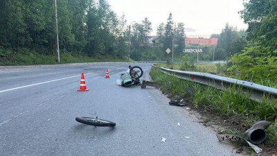 В Ленобласти женщина насмерть сбила пожилого велосипедиста: ранее она уже привлекалась