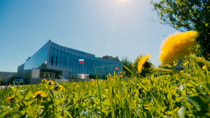 Стильный Петербург. Современный стиль и типовой кинотеатр «Максим»