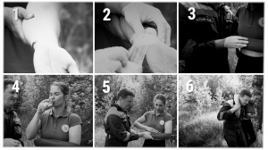 Не паниковать, но и не медлить: правила первой помощи при укусе змеи