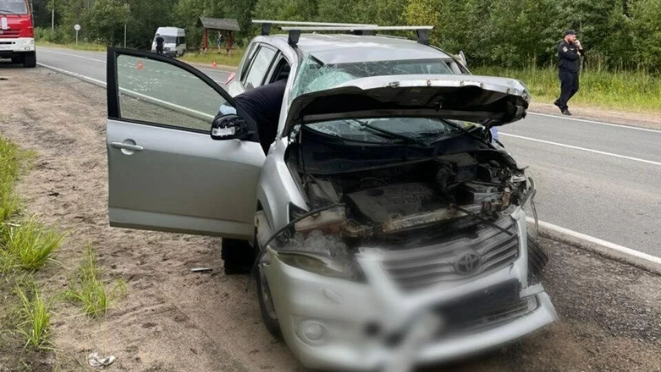 В Ленобласти пожилой водитель погиб при неудачном развороте - tvspb.ru