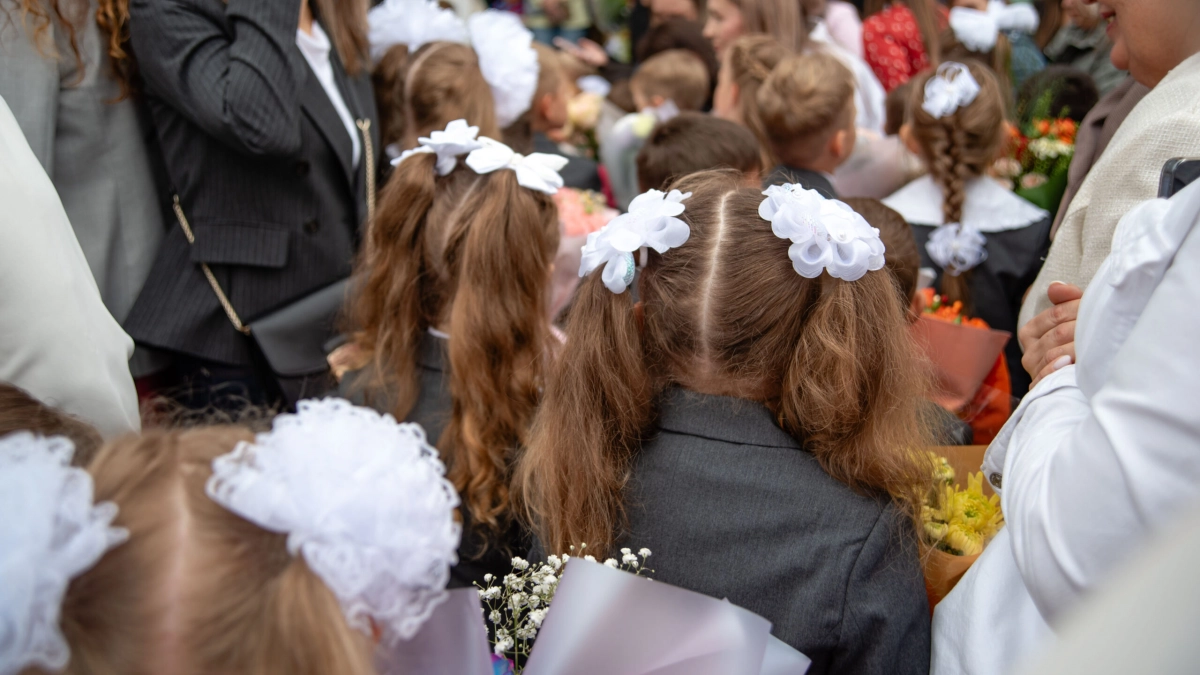 В Общественной палате предложили ввести в школах 12-летнее обучение - tvspb.ru