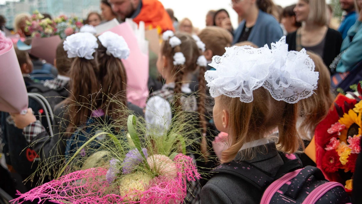Петербургские родители подали почти 50 тысяч заявлений на зачисление в первый класс через «Госуслуги» - tvspb.ru
