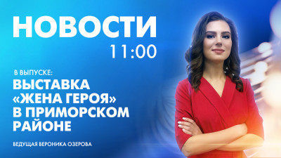 Новости Петербурга к 11:00