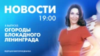 Новости Петербурга к 19:00