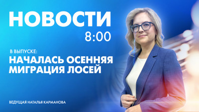 Новости Петербурга к 8:00