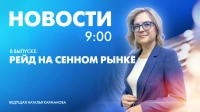 Новости Петербурга к 9:00