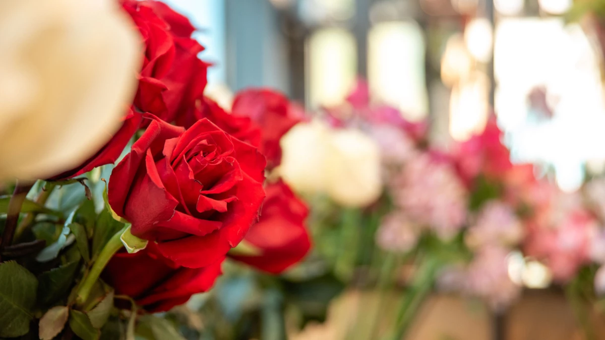 Мошенники активизировались в преддверии 14 февраля: самые популярные схемы - tvspb.ru