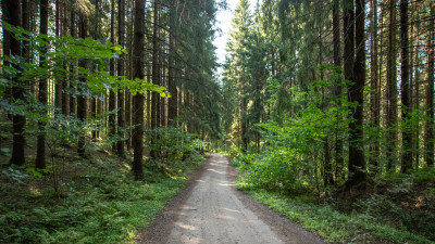 За последнюю неделю августа спасатели Ленобласти 55 раз выезжали на вызовы