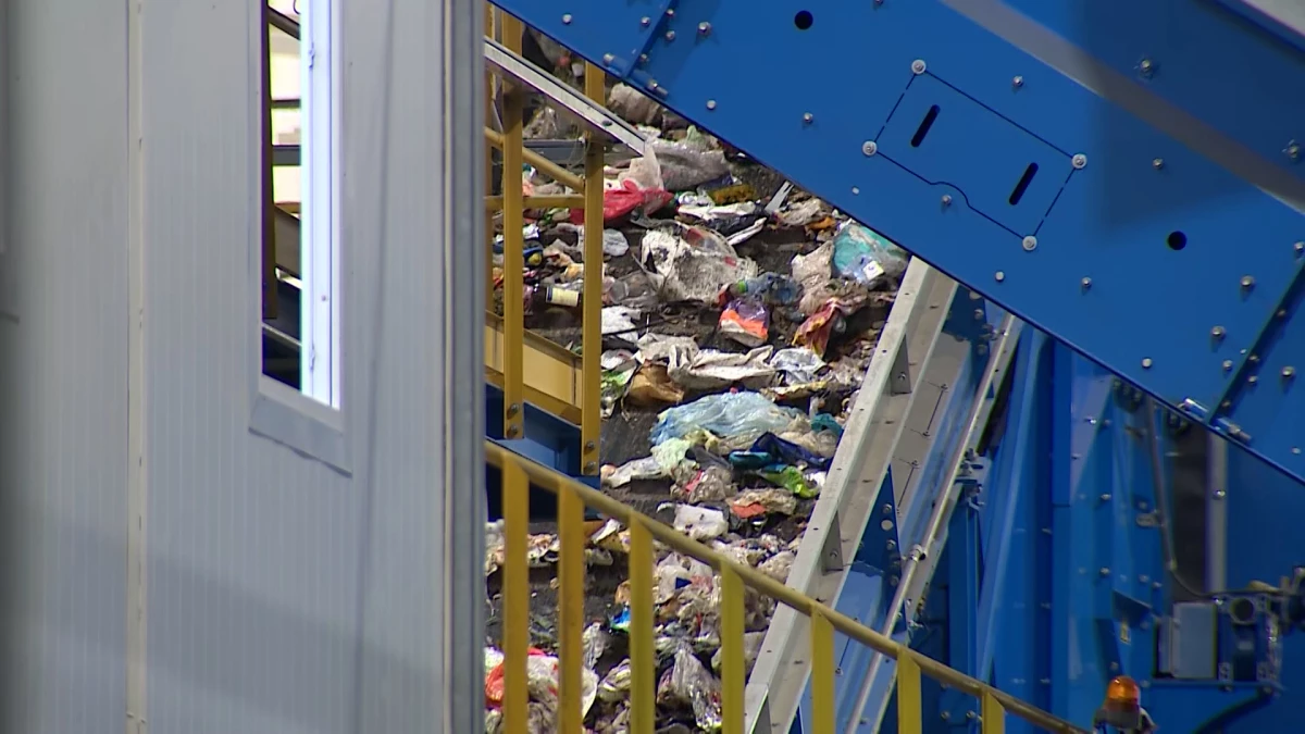 Экологические службы Петербурга собрали за неделю почти 103 тонны опасных отходов - tvspb.ru