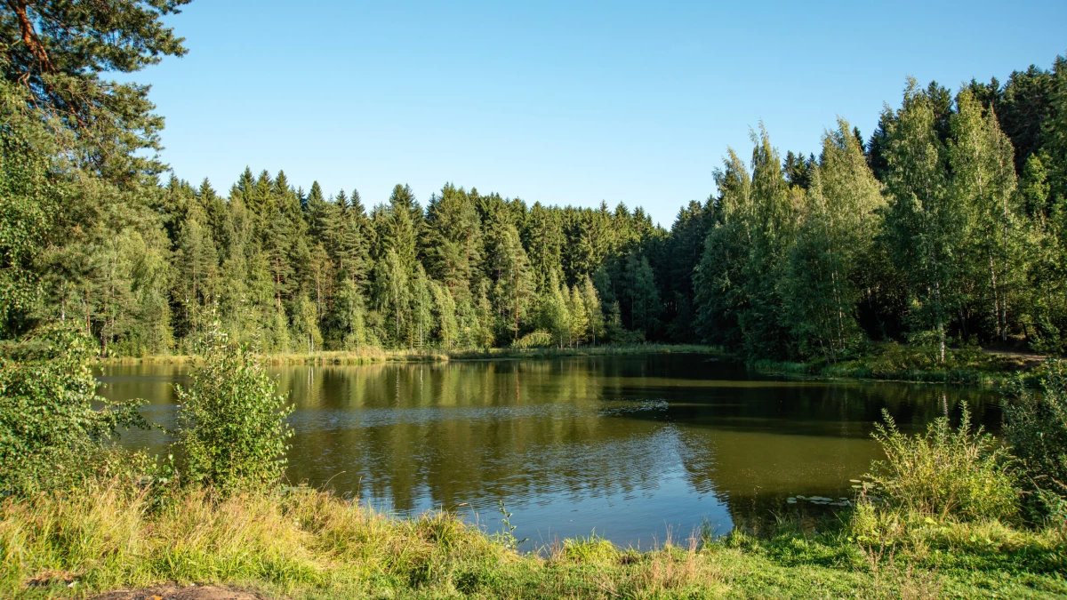Риск заражений и порезов: когда и где лучше открывать купальный сезон - tvspb.ru