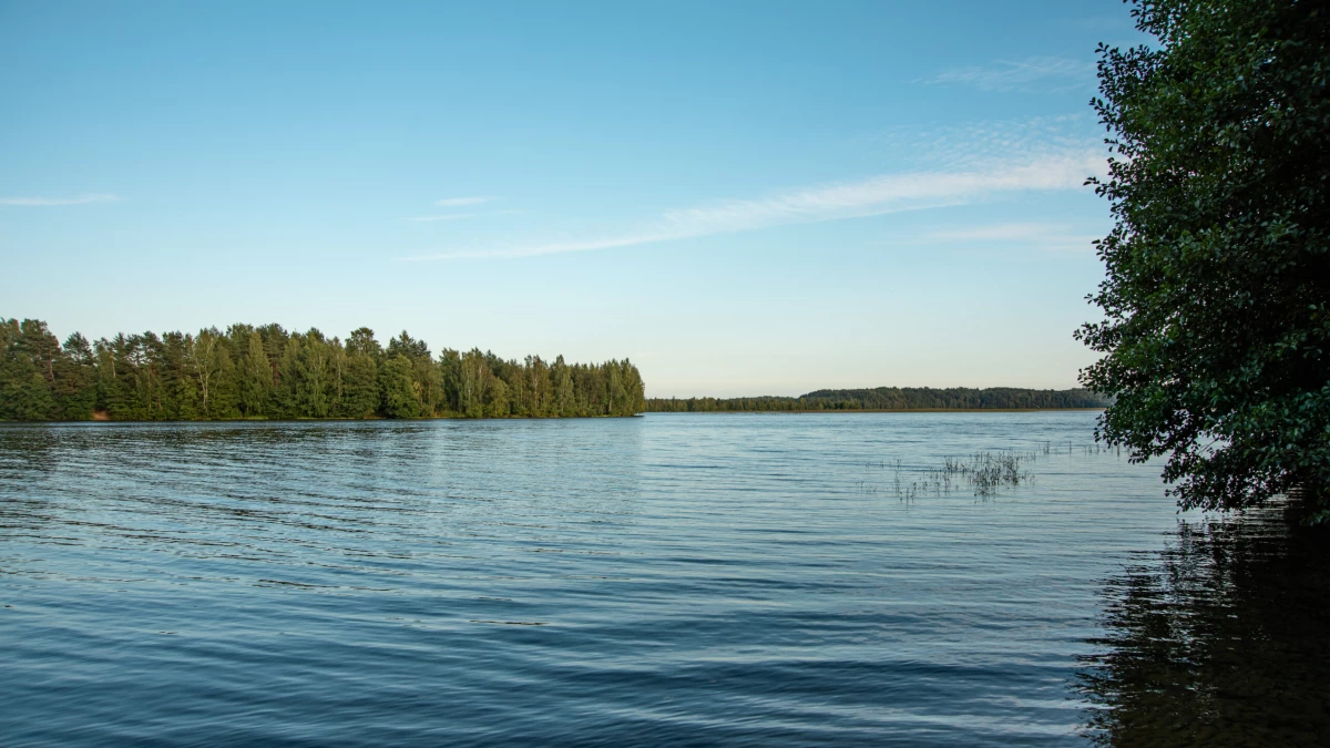Жителя Понтонного избили до смерти, обвязали цепью и утопили в озере под Кингисеппом - tvspb.ru