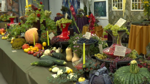 «Дары осеннего сада» в Ботаническом саду