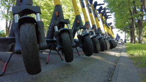 На электросамокате с ветерком и безопасностью. Какие правила необходимо знать, прежде чем брать средство передвижения в аренду