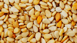 Сырники, яйца, каша и немного орехов. Чем накормить ребёнка, чтобы из школы он приносил только отличные оценки?