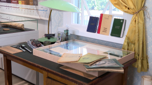 Песочница для мамонтят: каким был Каменный век в Сестрорецком Разливе