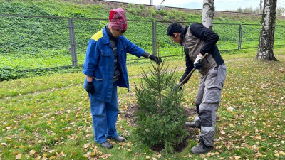 Садово-парковые предприятия Петербурга высадили более 3 тысяч 200 деревьев и 7,5 тысячи кустарников