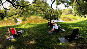 Утренняя зарядка: упражнения для гибкости позвоночника