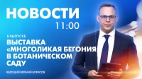 Новости Петербурга к 11:00