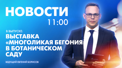 Новости Петербурга к 11:00