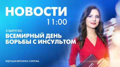 Новости Петербурга к 11:00