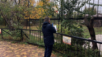 Директор парка «Тайган»: растерзавших женщину львов усыплять не будут