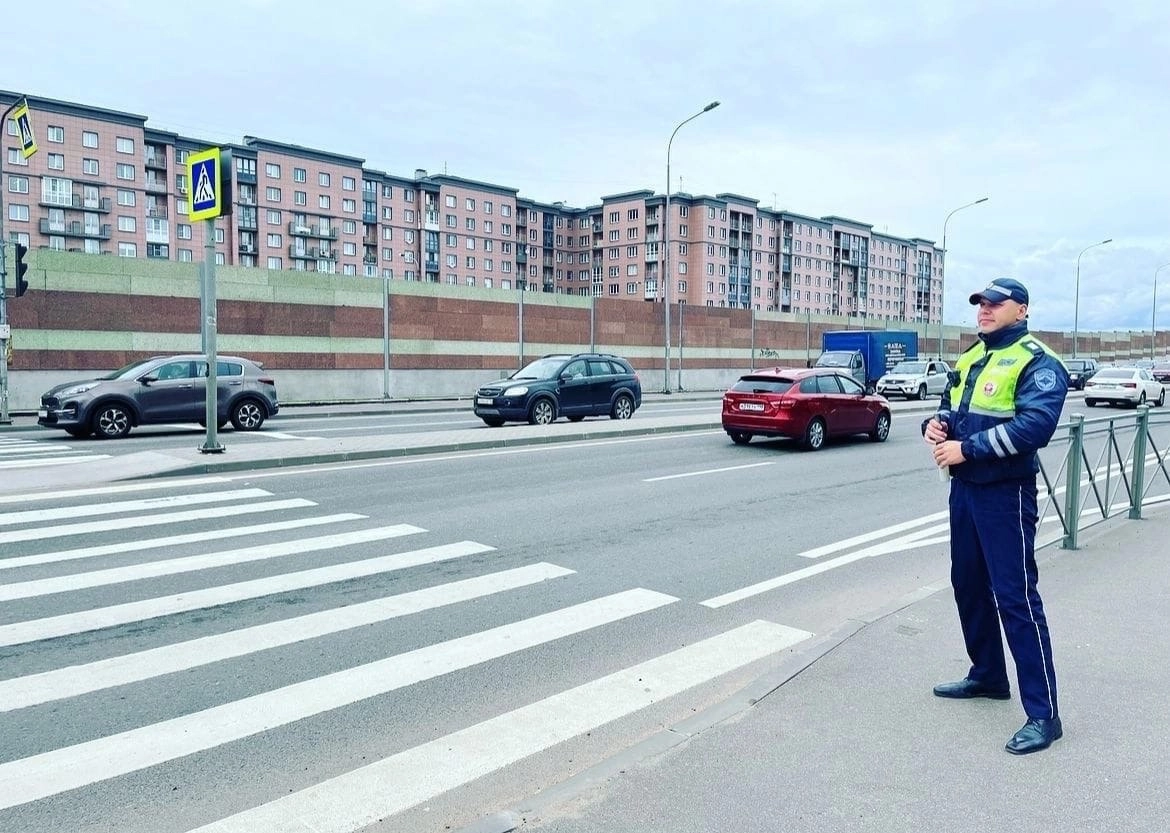 С 3 по 13 октября в Петербурге и Ленобласти пройдет акция «Пешеход, пешеходный переход» - tvspb.ru