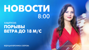 Новости Петербурга к 8:00