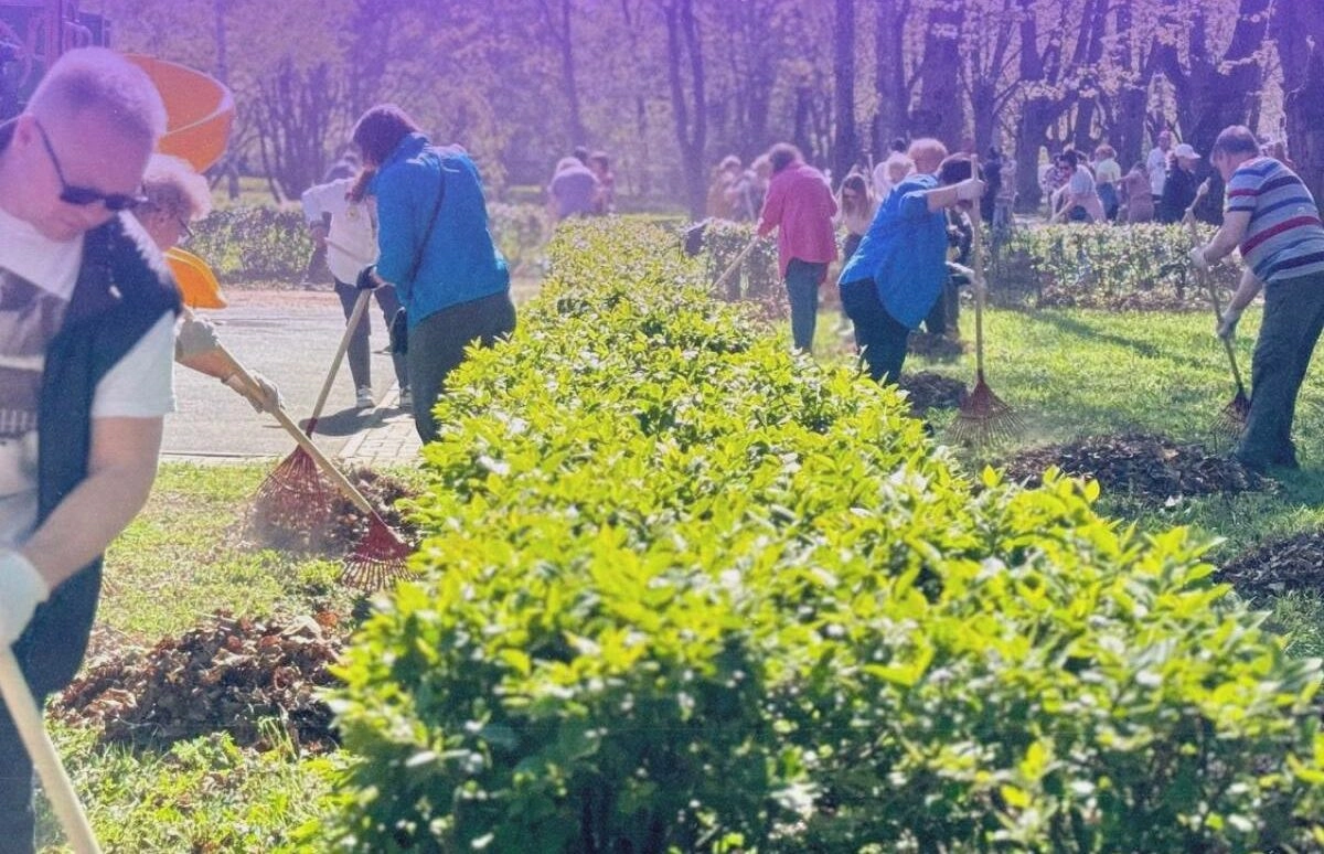 Во время общегородского субботника жители Петербурга высадили более 900 деревьев и почти 3 тысячи кустарников - tvspb.ru