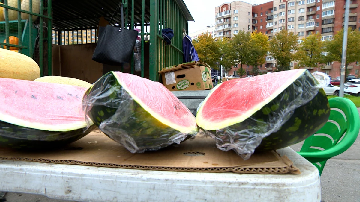 В Египте российские туристы массово отравились арбузами - tvspb.ru