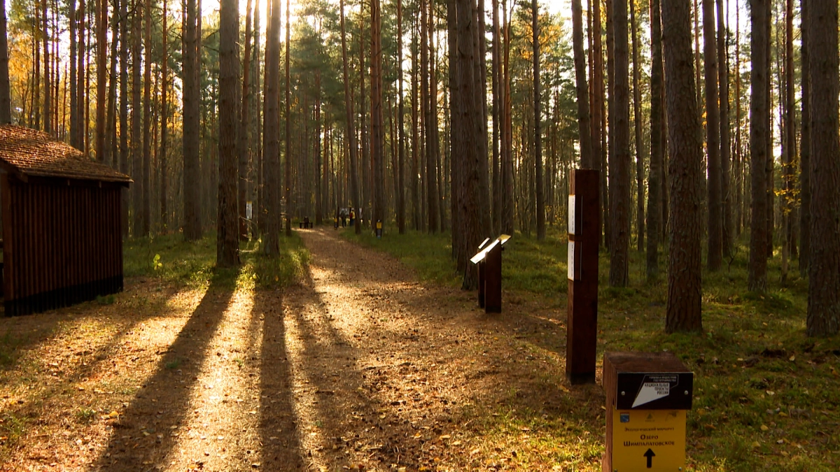 Ленобласть признали регионом с самой низкой заболеваемостью алкоголизмом - tvspb.ru
