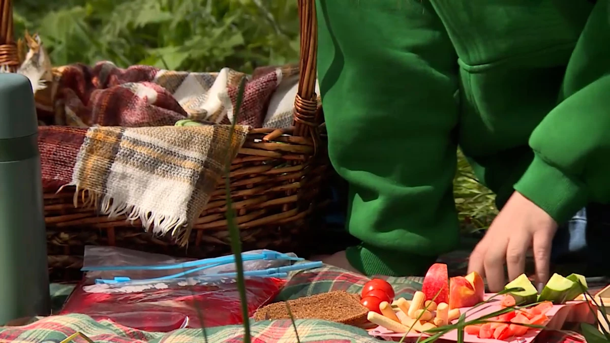 Большинство компаний Петербурга не планируют летних корпоративов - tvspb.ru