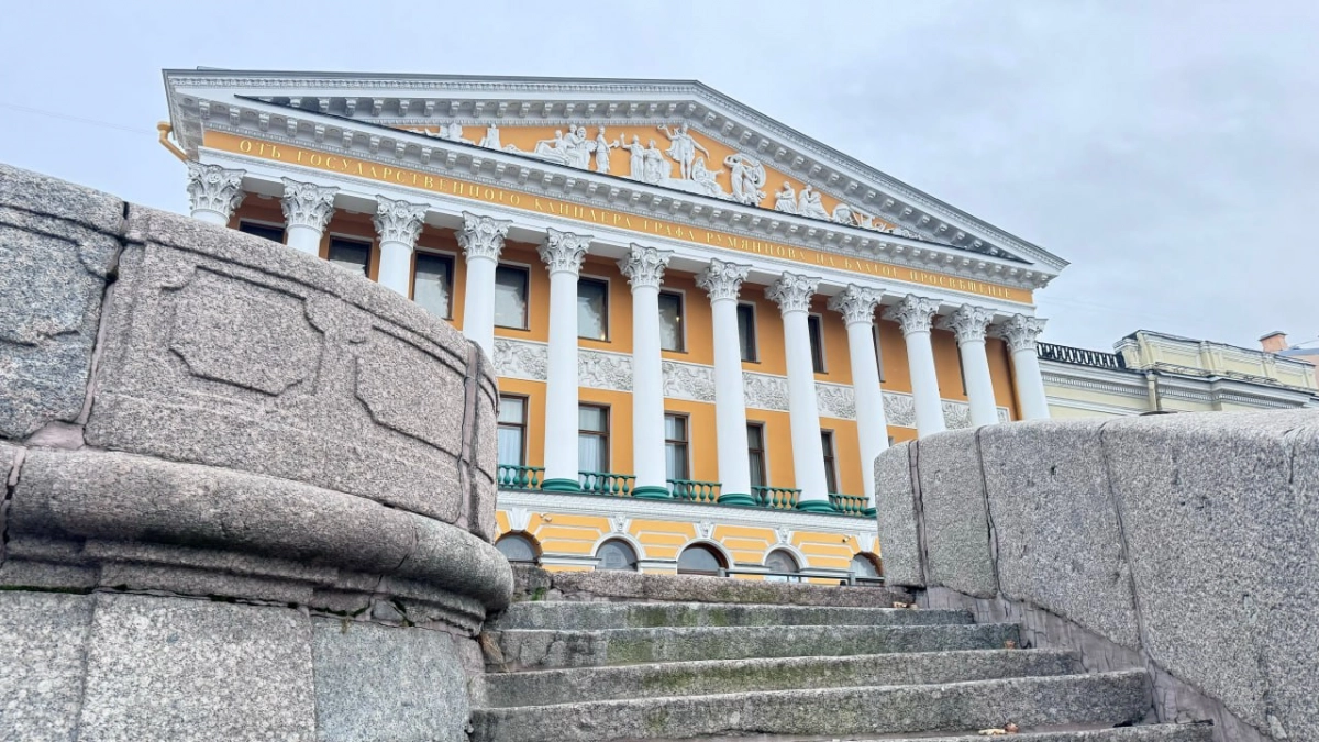 Перед началом зимнего сезона в Петербурге проверили чистоту порядка 5 000 зданий - tvspb.ru