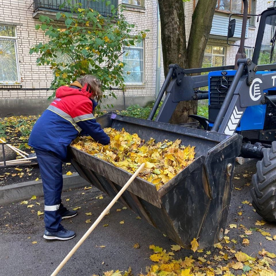 В Петербурге подвели итоги осеннего месячника по благоустройству - tvspb.ru